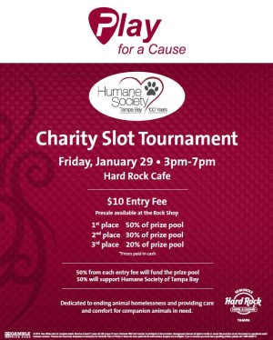 Seminole Hard Rock Tampa Starts the New Year By Partnering With Humane Society of Tampa Bay